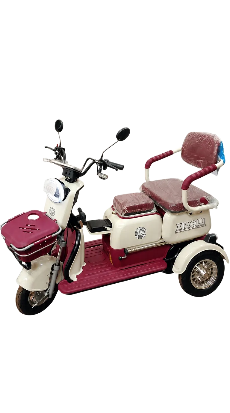 Triciclo Elétrico Xiaolu - Luxo